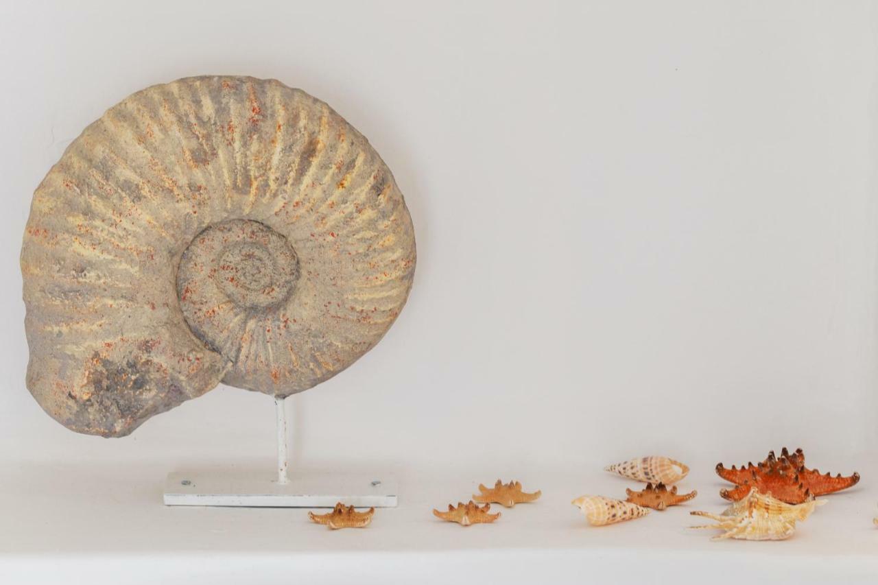 Вілла Casa Do Pescador By Ammonite&Co Олян Екстер'єр фото